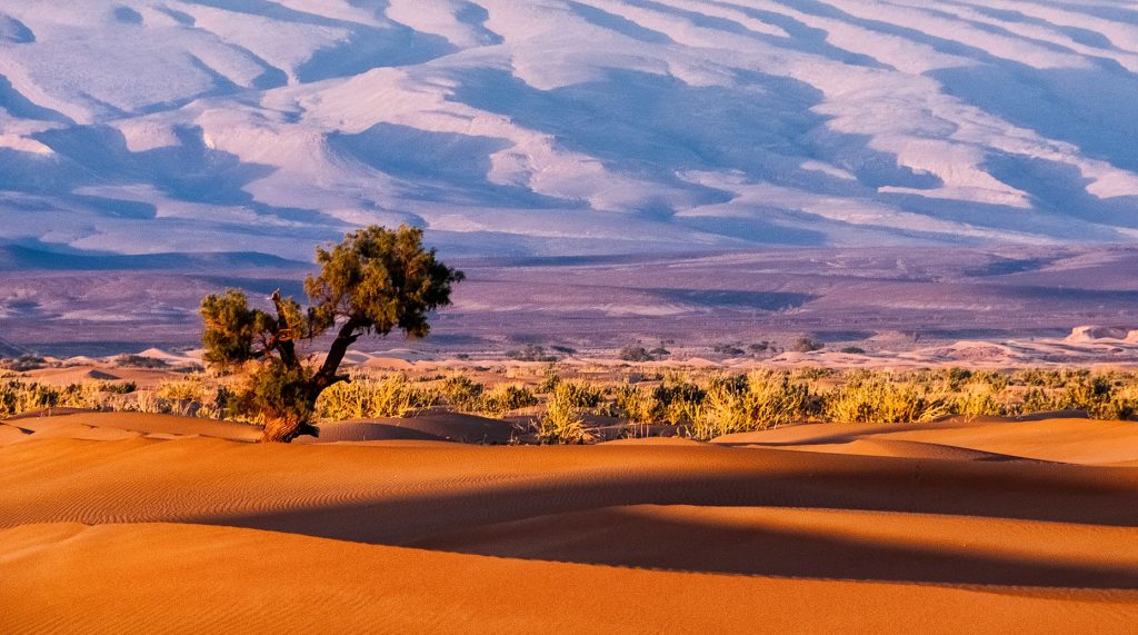 paysage non modifié